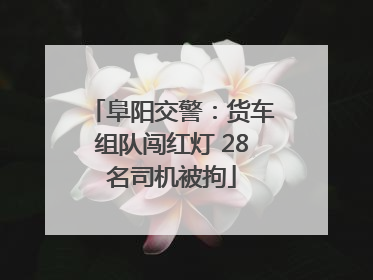 阜阳交警：货车组队闯红灯 28名司机被拘