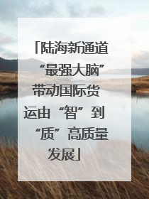 陆海新通道“最强大脑” 带动国际货运由“智”到“质”高质量发展