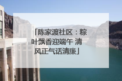 陈家渡社区：粽叶飘香迎端午 清风正气话清廉