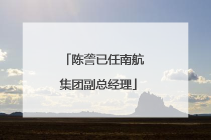 陈詟已任南航集团副总经理