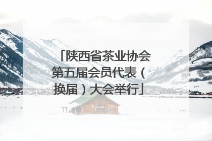陕西省茶业协会第五届会员代表（换届）大会举行