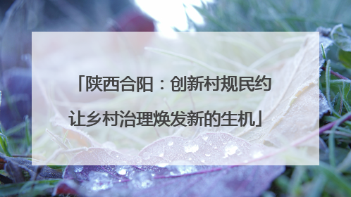 陕西合阳：创新村规民约让乡村治理焕发新的生机