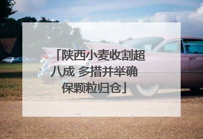 陕西小麦收割超八成 多措并举确保颗粒归仓