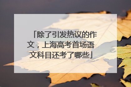 除了引发热议的作文，上海高考首场语文科目还考了哪些