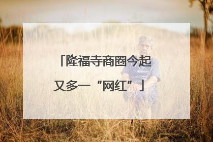 隆福寺商圈今起又多一“网红”