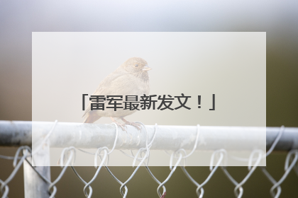 雷军最新发文！