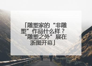 雕塑家的“非雕塑”作品什么样？“雕塑之外”展在浙图开幕