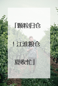 颗粒归仓！江淮粮仓夏收忙