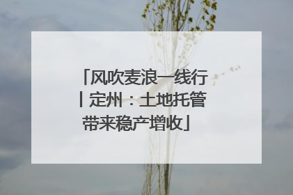 风吹麦浪一线行丨定州：土地托管带来稳产增收