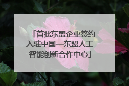 首批东盟企业签约入驻中国—东盟人工智能创新合作中心