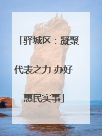 驿城区：凝聚代表之力 办好惠民实事