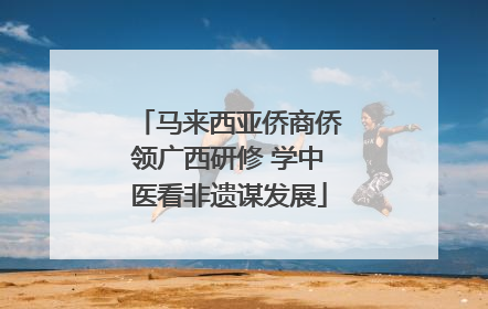 马来西亚侨商侨领广西研修 学中医看非遗谋发展