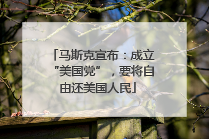 马斯克宣布：成立“美国党”，要将自由还美国人民