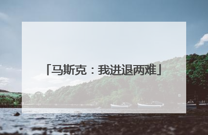 马斯克：我进退两难