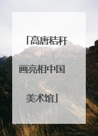 高唐秸秆画亮相中国美术馆
