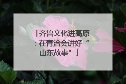 齐鲁文化进高原：在青洽会讲好“山东故事”