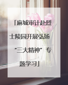 麻城审计赴烈士陵园开展弘扬“三大精神”专题学习