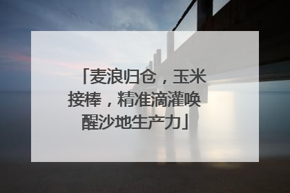麦浪归仓，玉米接棒，精准滴灌唤醒沙地生产力