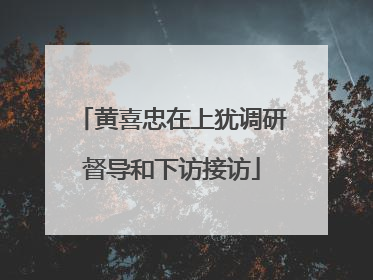 黄喜忠在上犹调研督导和下访接访