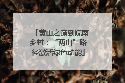 黄山之巅到皖南乡村：“两山”路径激活绿色动能