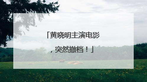 黄晓明主演电影，突然撤档！