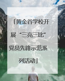黄金谷学校开展“三亮三比”党员先锋示范系列活动