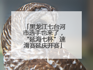 黑龙江七台河市选手也来了，“延海七杯”速滑赛延庆开赛