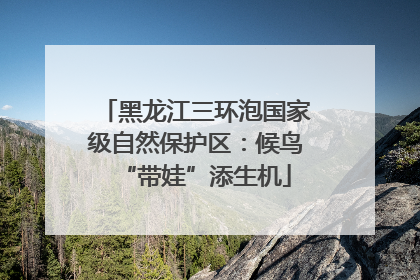 黑龙江三环泡国家级自然保护区：候鸟“带娃”添生机