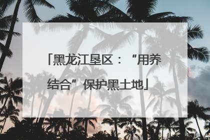 黑龙江垦区：“用养结合”保护黑土地