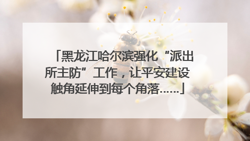 黑龙江哈尔滨强化“派出所主防”工作，让平安建设触角延伸到每个角落……