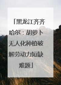 黑龙江齐齐哈尔：胡萝卜无人化种植破解劳动力短缺难题