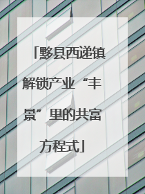 黟县西递镇解锁产业“丰景”里的共富方程式
