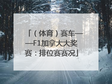 （体育）赛车——F1加拿大大奖赛：排位赛赛况