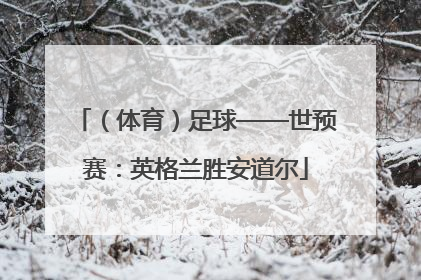 （体育）足球——世预赛：英格兰胜安道尔