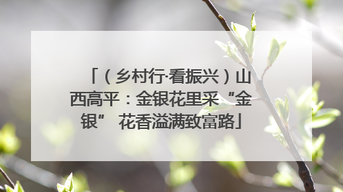 （乡村行·看振兴）山西高平：金银花里采“金银” 花香溢满致富路