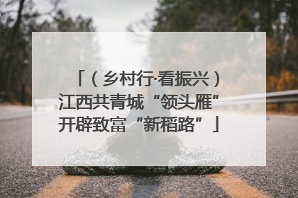 （乡村行·看振兴）江西共青城“领头雁”开辟致富“新稻路”