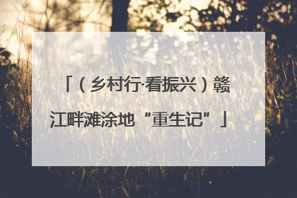 （乡村行·看振兴）赣江畔滩涂地“重生记”