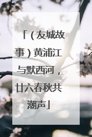 （友城故事）黄浦江与默西河，廿六春秋共潮声