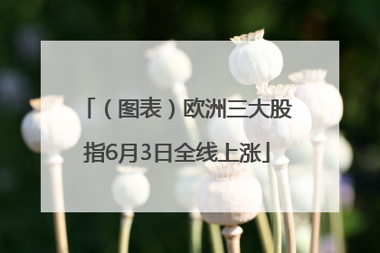（图表）欧洲三大股指6月3日全线上涨