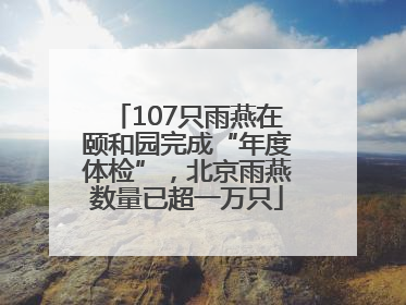 107只雨燕在颐和园完成“年度体检”，北京雨燕数量已超一万只