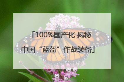 100%国产化 揭秘中国“蓝盔”作战装备