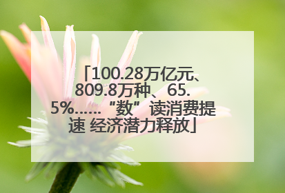 100.28万亿元、809.8万种、65.5%……“数”读消费提速 经济潜力释放