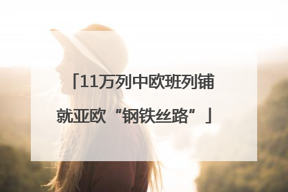 11万列中欧班列铺就亚欧“钢铁丝路”