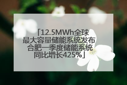 12.5MWh全球最大容量储能系统发布 合肥一季度储能系统同比增长425%