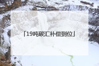 19吨碳汇补偿到位