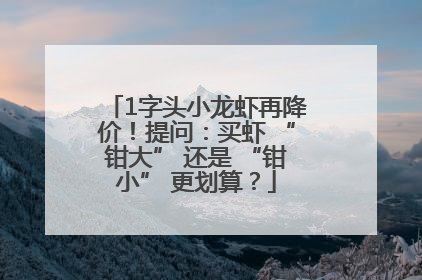 1字头小龙虾再降价！提问：买虾 “钳大” 还是 “钳小” 更划算？
