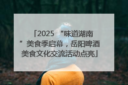 2025 “味道湖南”美食季启幕，岳阳啤酒美食文化交流活动点亮