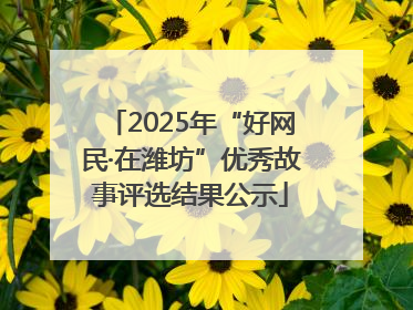 2025年“好网民·在潍坊”优秀故事评选结果公示