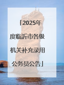 2025年度临沂市各级机关补充录用公务员公告