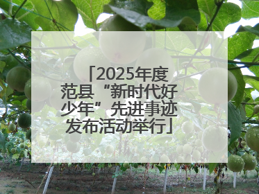 2025年度范县“新时代好少年”先进事迹发布活动举行